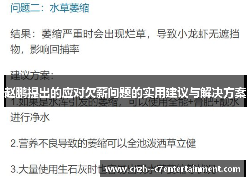 赵鹏提出的应对欠薪问题的实用建议与解决方案