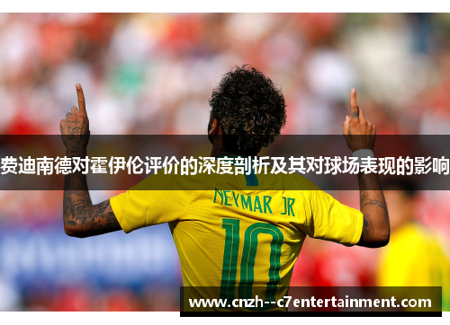 费迪南德对霍伊伦评价的深度剖析及其对球场表现的影响