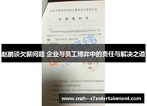 赵鹏谈欠薪问题 企业与员工博弈中的责任与解决之道