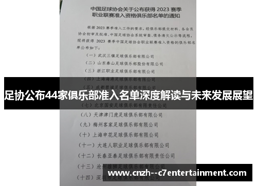 足协公布44家俱乐部准入名单深度解读与未来发展展望