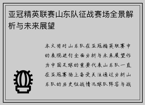 亚冠精英联赛山东队征战赛场全景解析与未来展望